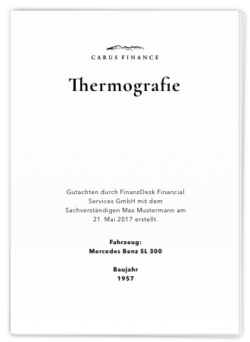 Thermografie-Gutachten